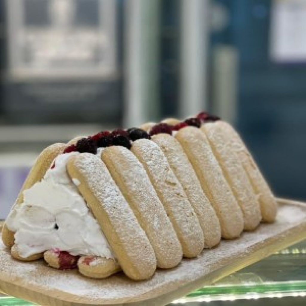 WhatsApp Image 2026-01-12 at 10.30.12 PM